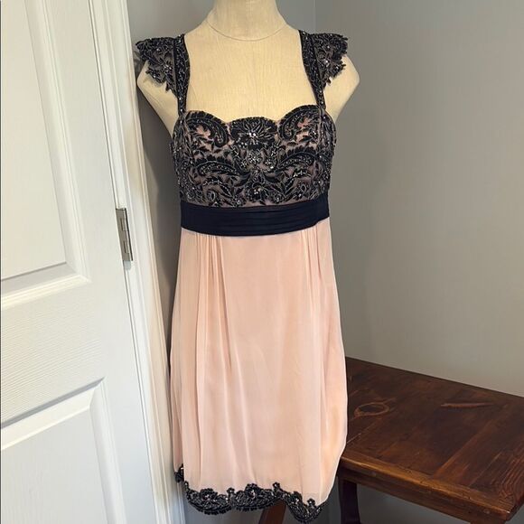 Sue Wong Walt Disney “Alice in Wonderland” 
Black & Rose Lace Trim Dress Size 6 - Picture 2 of 16